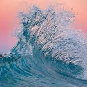 Meet your Posher, Bridget